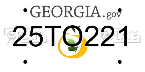 25TO221 Georgia License Plate