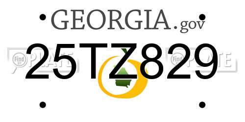 25TZ829 Georgia License Plate