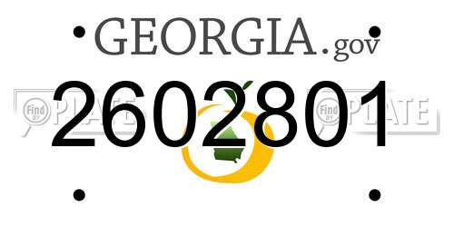 2602801 Georgia License Plate