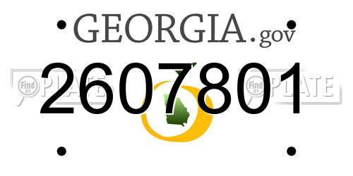 2607801 Georgia License Plate