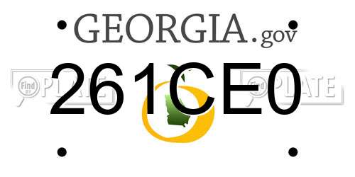 261CE0 Georgia License Plate