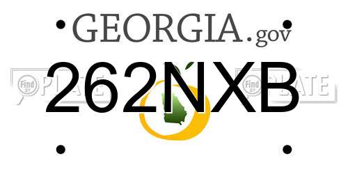 262NXB Georgia License Plate