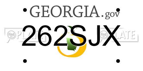 262SJX Georgia License Plate