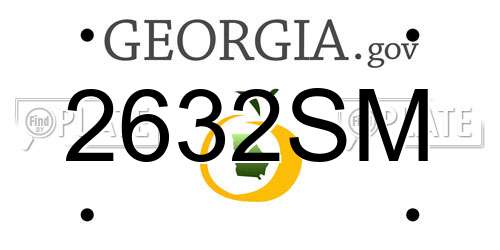 2632SM Georgia License Plate