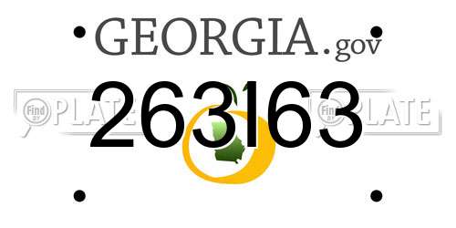 263I63 Georgia License Plate