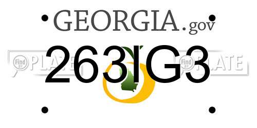 263IG3 Georgia License Plate