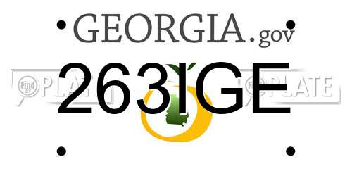 263IGE Georgia License Plate