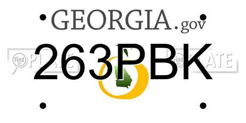 263PBK Georgia License Plate