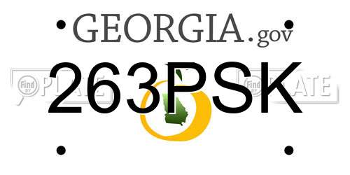 263PSK Georgia License Plate
