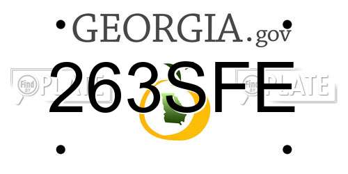 263SFE Georgia License Plate