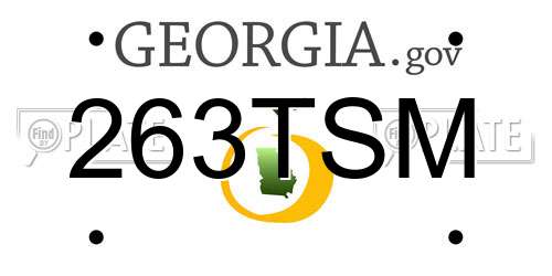 263TSM Georgia License Plate
