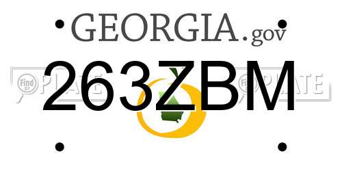 263ZBM Georgia License Plate