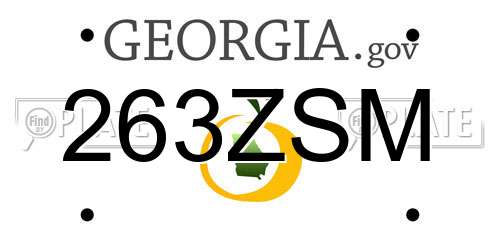 263ZSM Georgia License Plate
