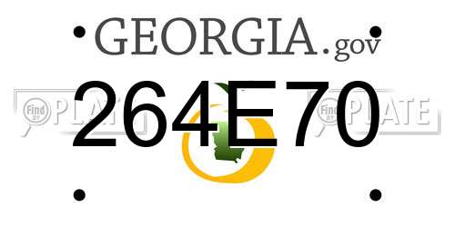 264E70 Georgia License Plate