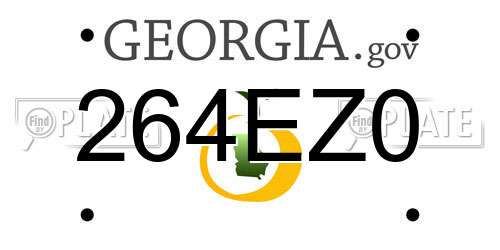 264EZ0 Georgia License Plate