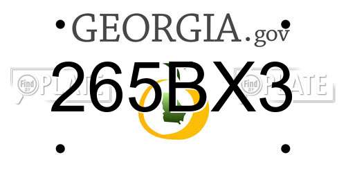 265BX3 Georgia License Plate
