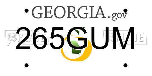 265GUM Georgia License Plate