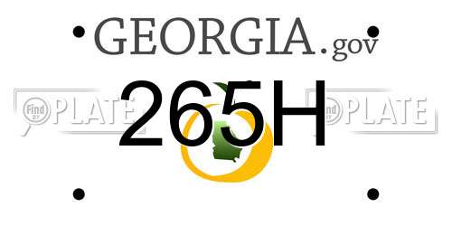 265H Georgia License Plate
