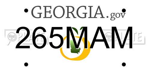 265MAM Georgia License Plate