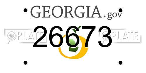 26673 Georgia License Plate