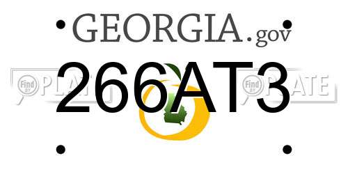 266AT3 Georgia License Plate