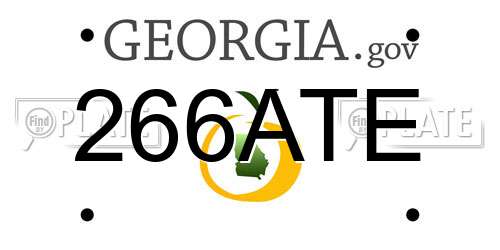 266ATE Georgia License Plate