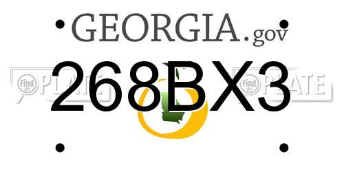 268BX3 Georgia License Plate