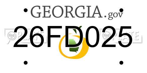 26FD025 Georgia License Plate