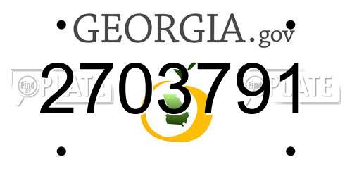 2703791 Georgia License Plate