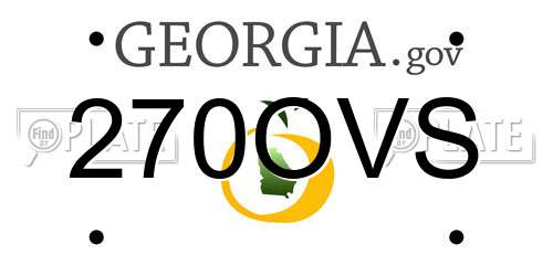 270OVS Georgia License Plate