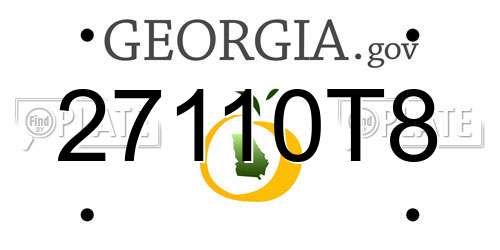 27110T8 Georgia License Plate