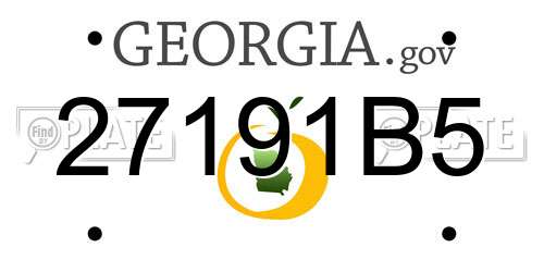 27191B5 Georgia License Plate