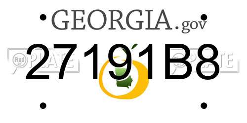 27191B8 Georgia License Plate
