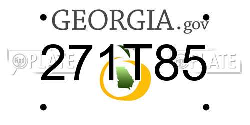 271T85 Georgia License Plate
