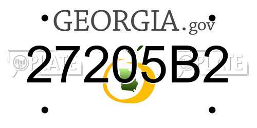 27205B2 Georgia License Plate