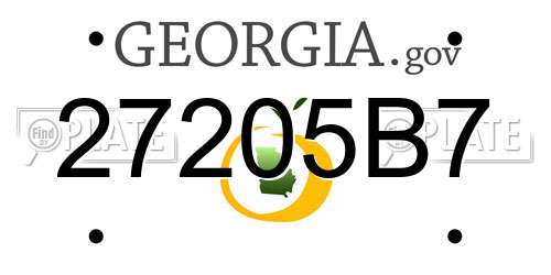 27205B7 Georgia License Plate
