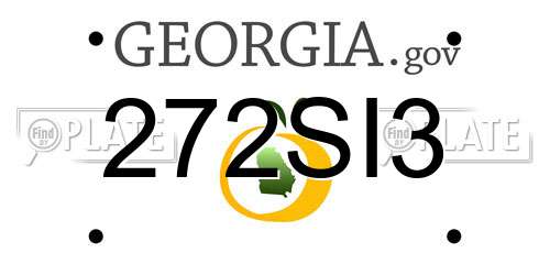 272SI3 Georgia License Plate