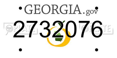 2732076 Georgia License Plate