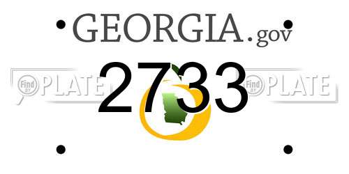 2733 Georgia License Plate