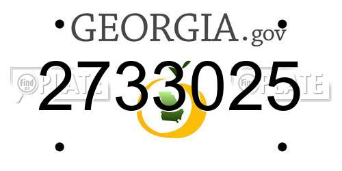 2733025 Georgia License Plate