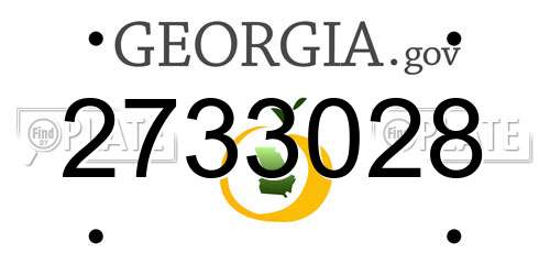 2733028 Georgia License Plate