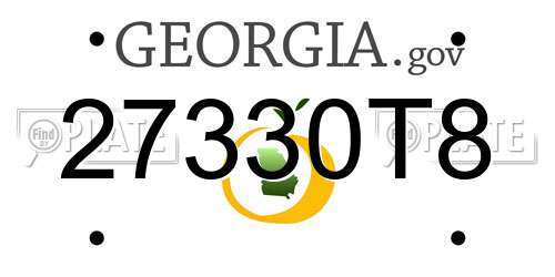 27330T8 Georgia License Plate