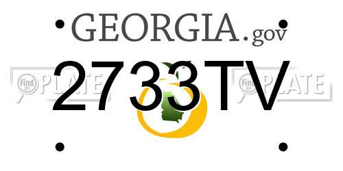 2733TV Georgia License Plate