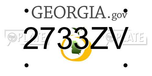 2733ZV Georgia License Plate