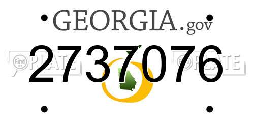 2737076 Georgia License Plate
