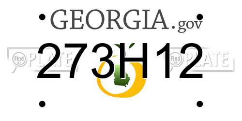 273H12 Georgia License Plate