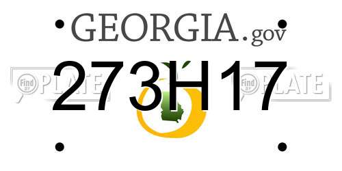 273H17 Georgia License Plate