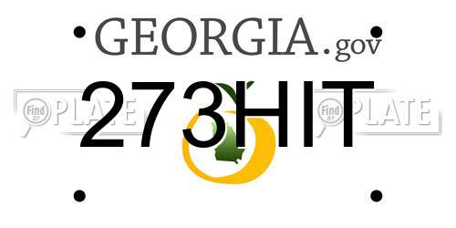 273HIT Georgia License Plate