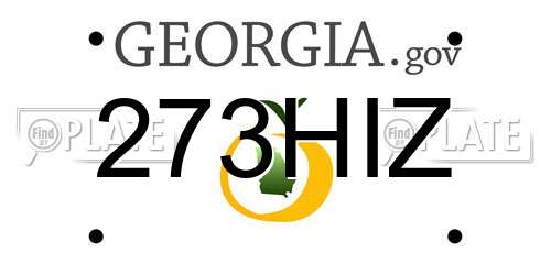 273HIZ Georgia License Plate