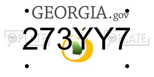 273YY7 Georgia License Plate